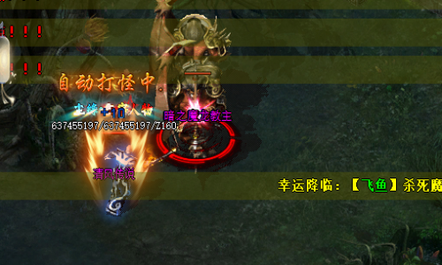 万象丛林都可以掉落哪些装备？