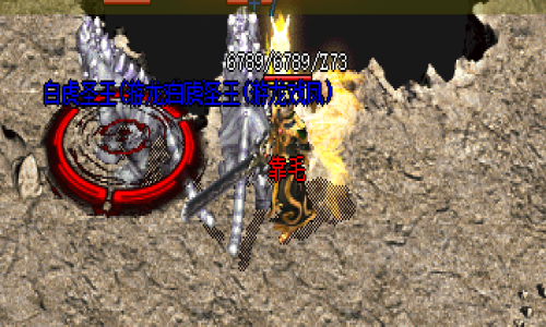 神途新开服道士攻略：召唤3只白虎的等级要求揭秘（2025.4.17）